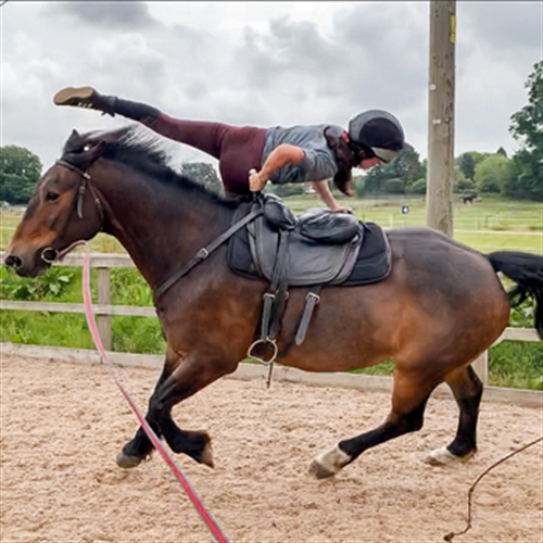 horse trick horse trick
